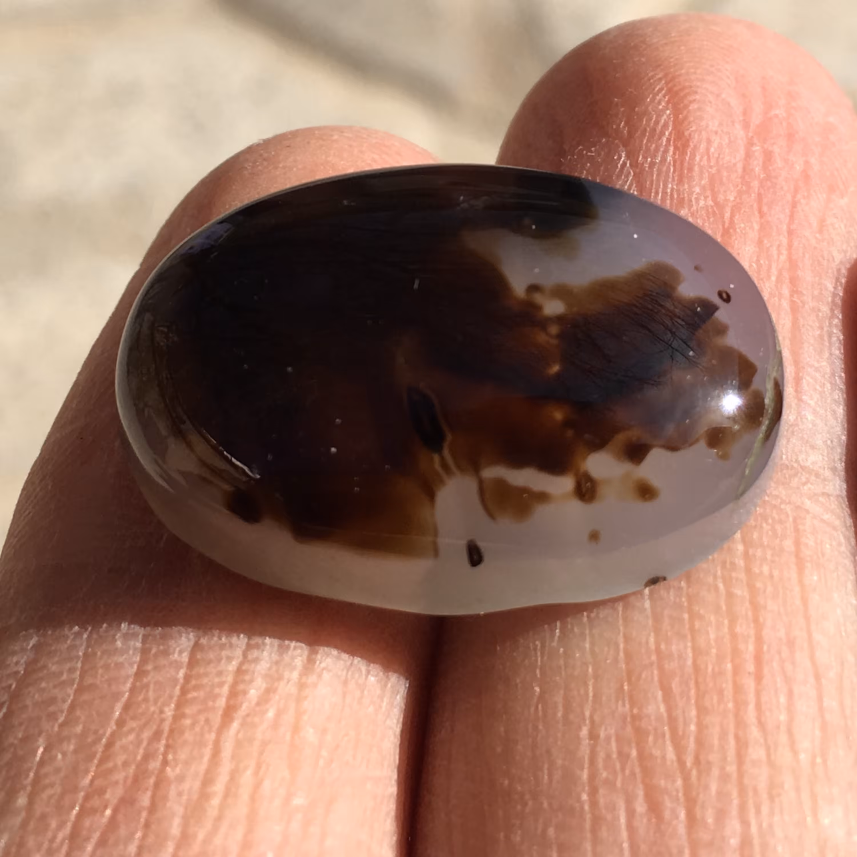 نگین شجر مصور قائن