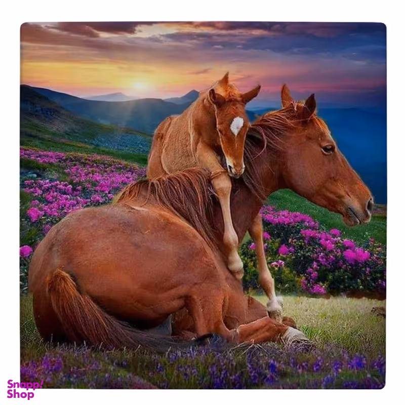زیر لیوانی طرح دو اسب در طبیعت کد 5122047_3879