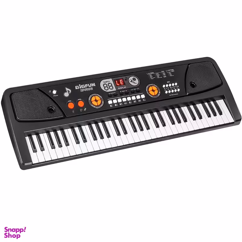 بازی آموزشی ارگ بیگفان مدل 730A2