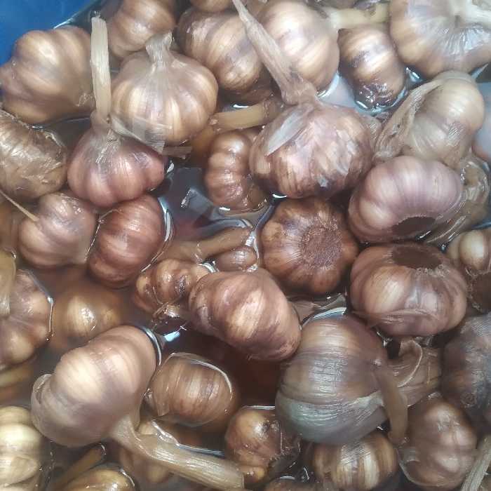 سیر ترشی محلی فراوری شده  از زمین های حاصلخیز  دشت مغان