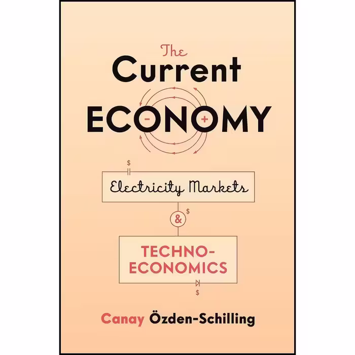 کتاب زبان اصلی The Current Economy اثر Canay azdenSchilling