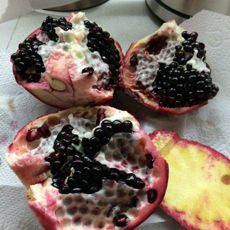 نهال انار دانه سیاه نایاب پنج ساله