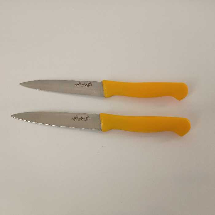چاقوی کوچک آشپزخانه سایز(1)  ضدزنگ دسته پلاستیکی دوعددی مروارید
