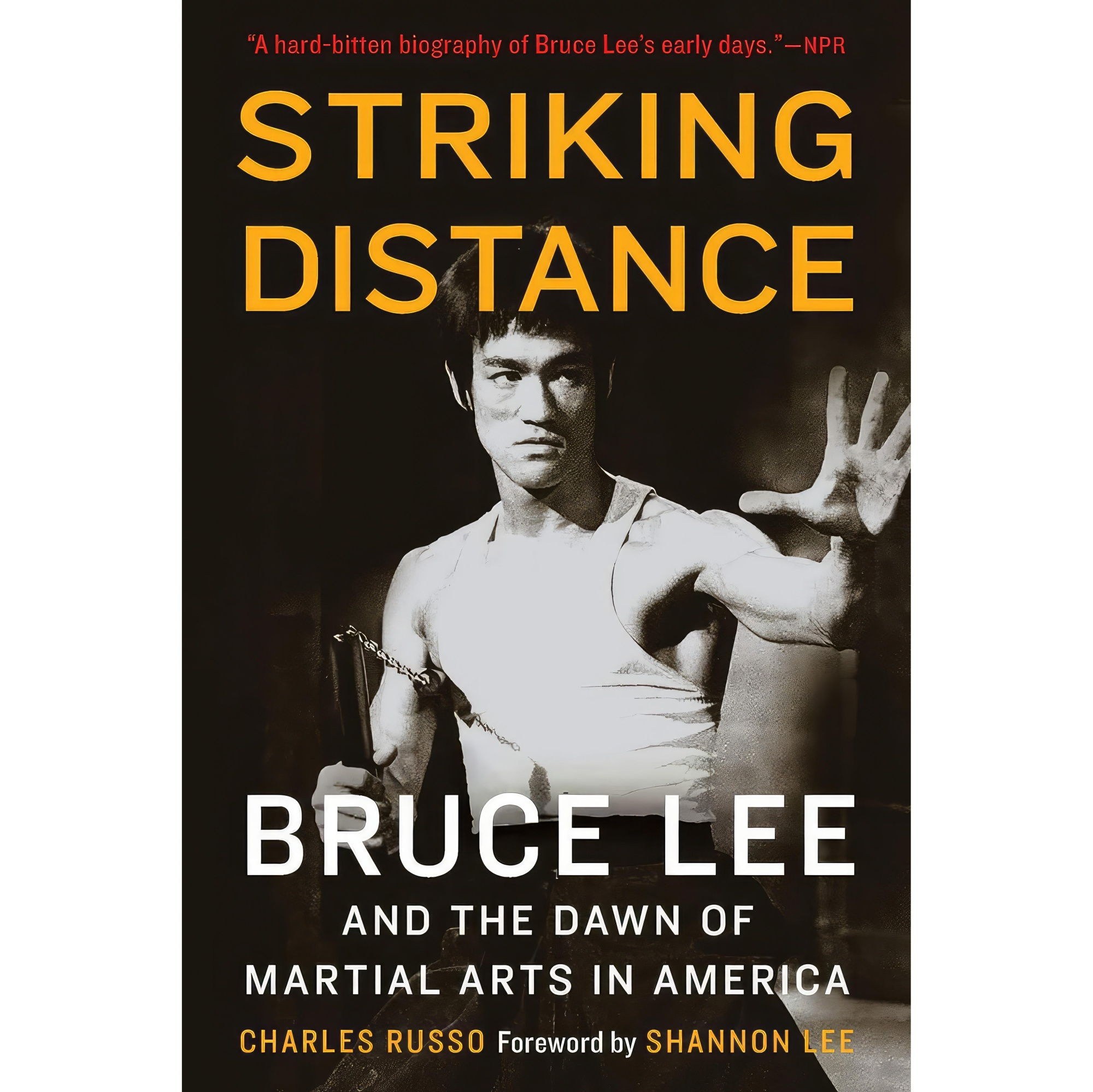 کتاب زبان اصلی Striking Distance اثر Charles J Russo