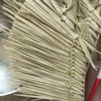 جارو اهوازی نخلی 