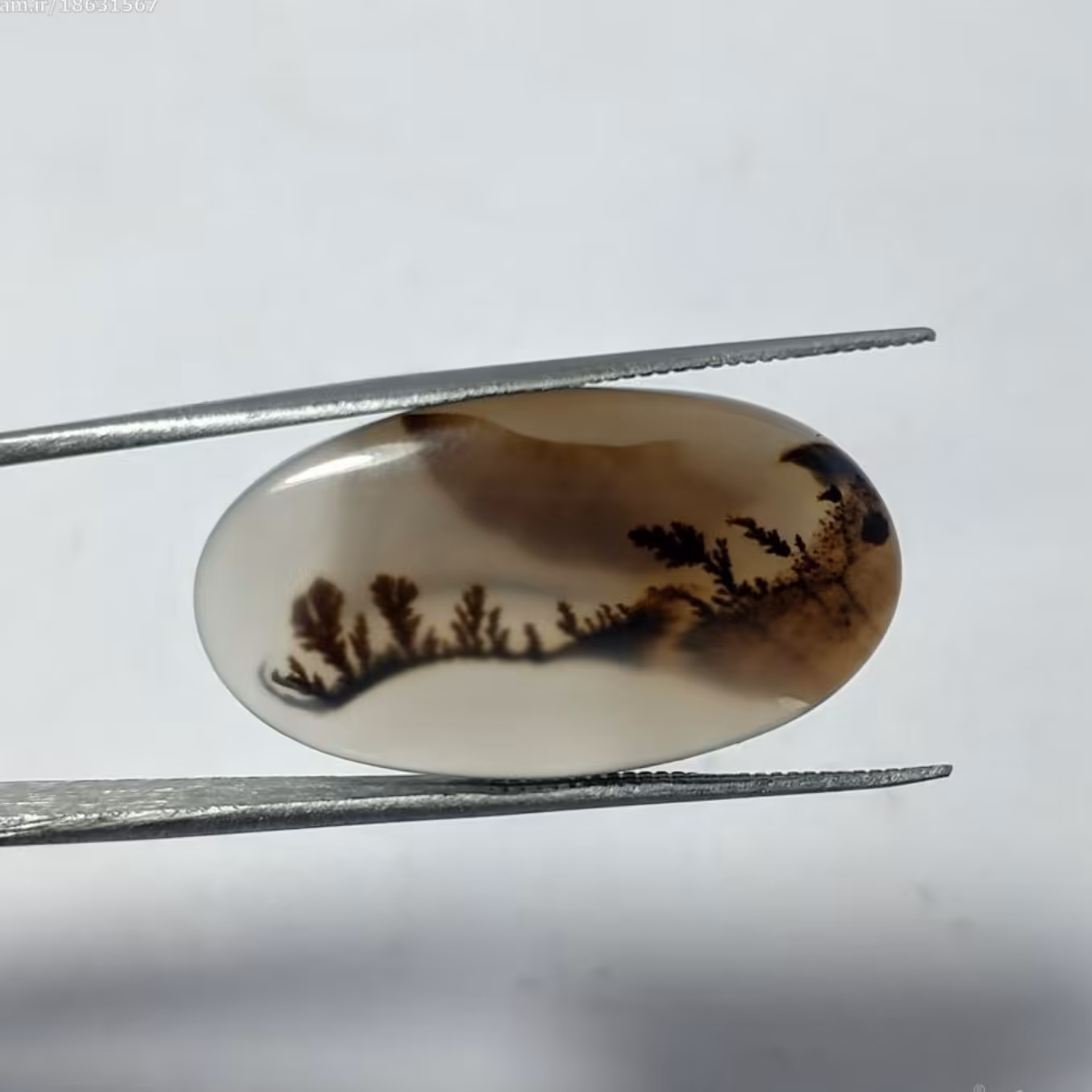 شجر طبیعی کاملا طبیعی نقشی از خالق هستی در دل عقیق