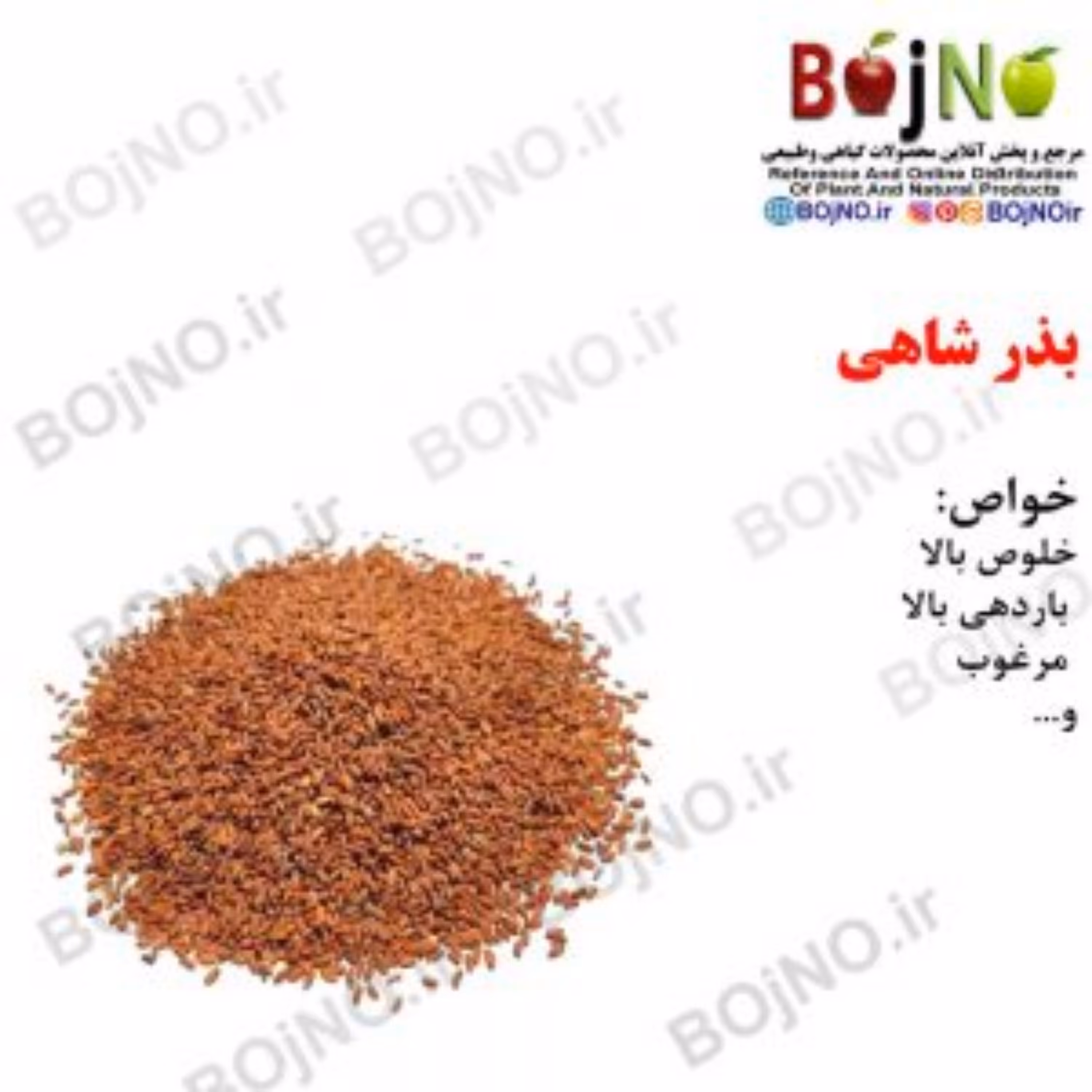 بذر شاهی 100گرمی