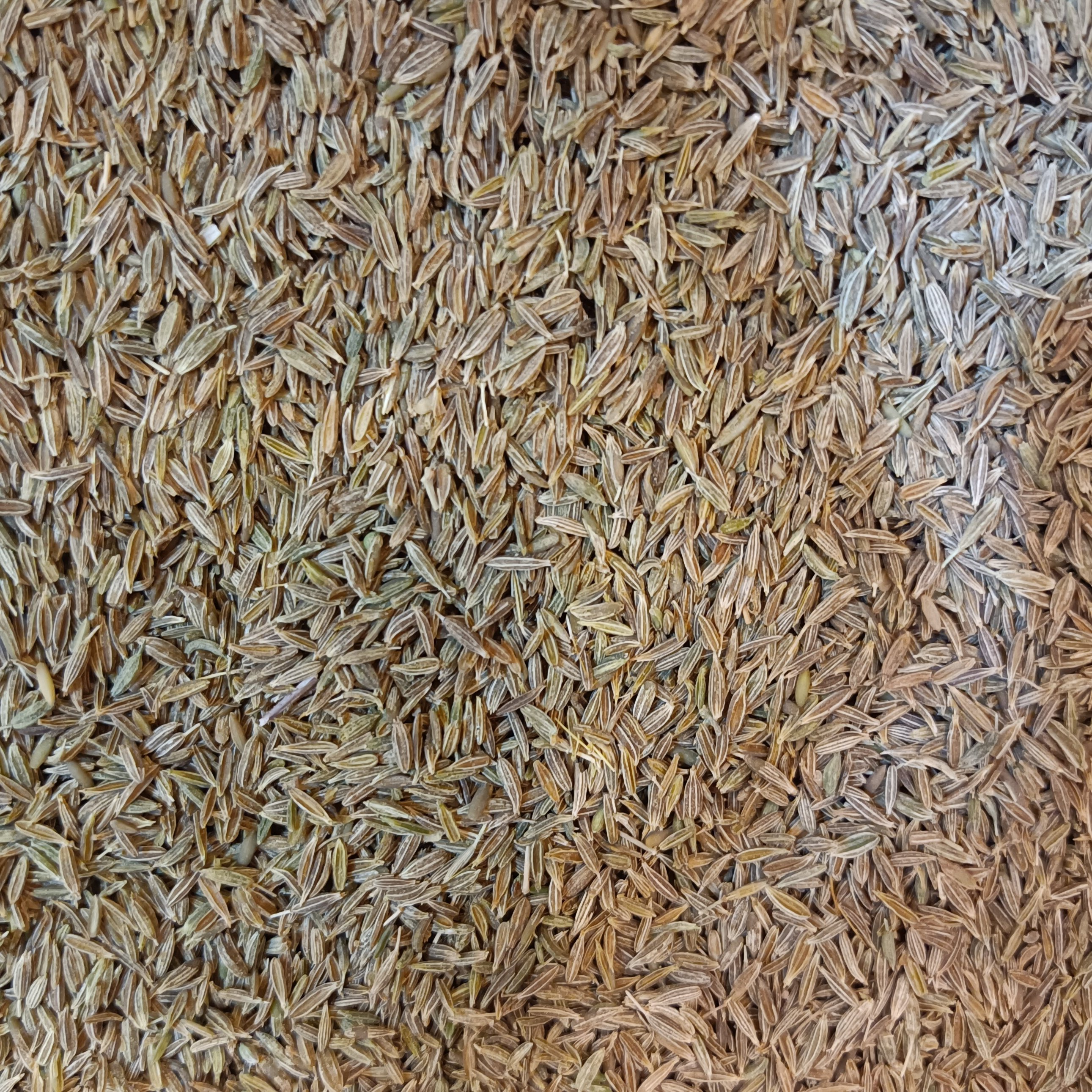 زیره سبز محلی 150گرمی