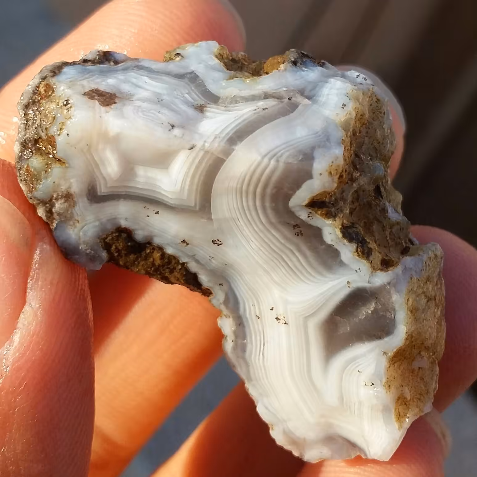 سنگ راف حبه عقیق سلیمانی3بعدی خارق العاده بسیار دیدنی شاهکار خلقت کاملا طبیعی
محشر
کد 8269