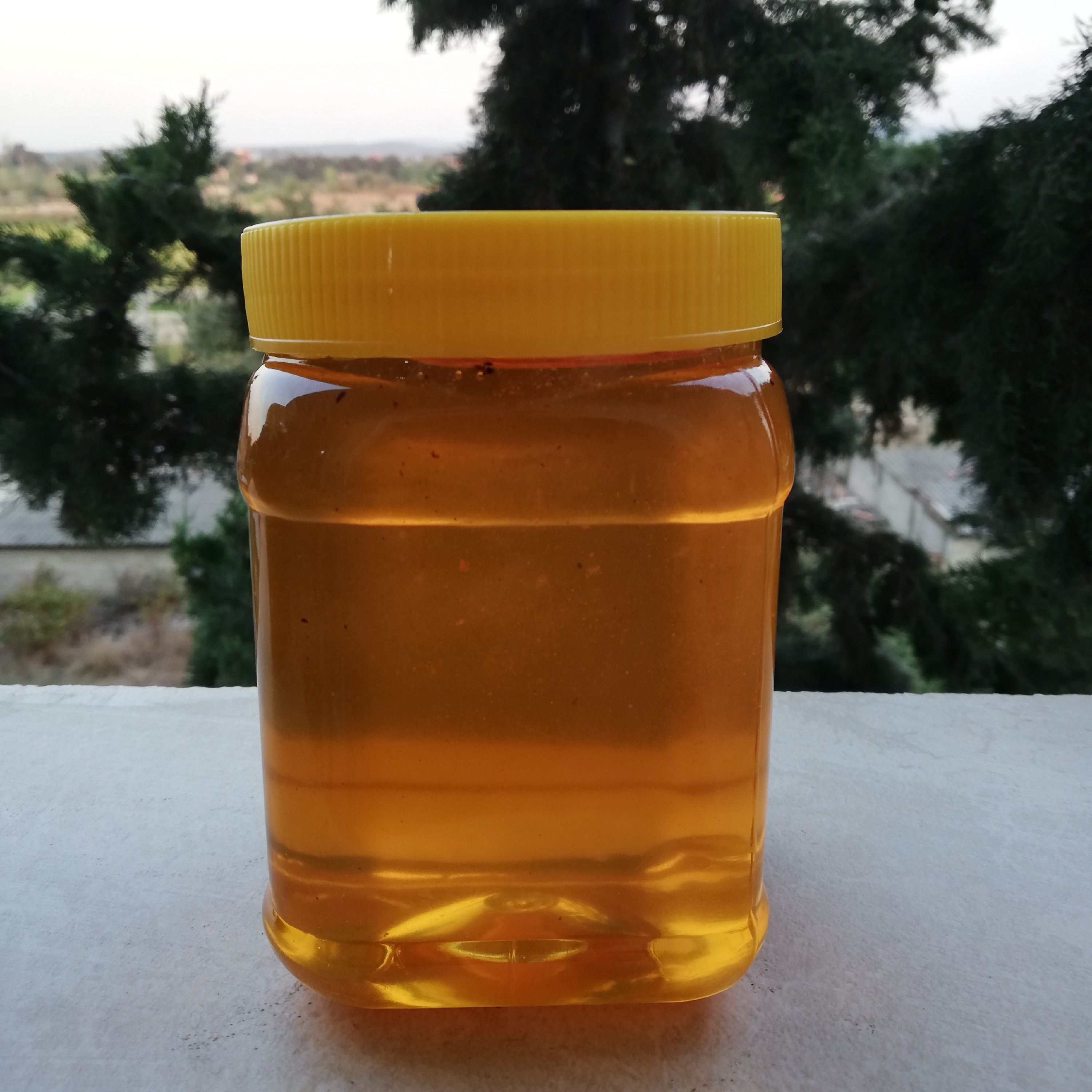 عسل طبیعی و خالص بهار نارنج مازندران (بکر و گرماندیده) دو کیلوگرم ارسال رایگان