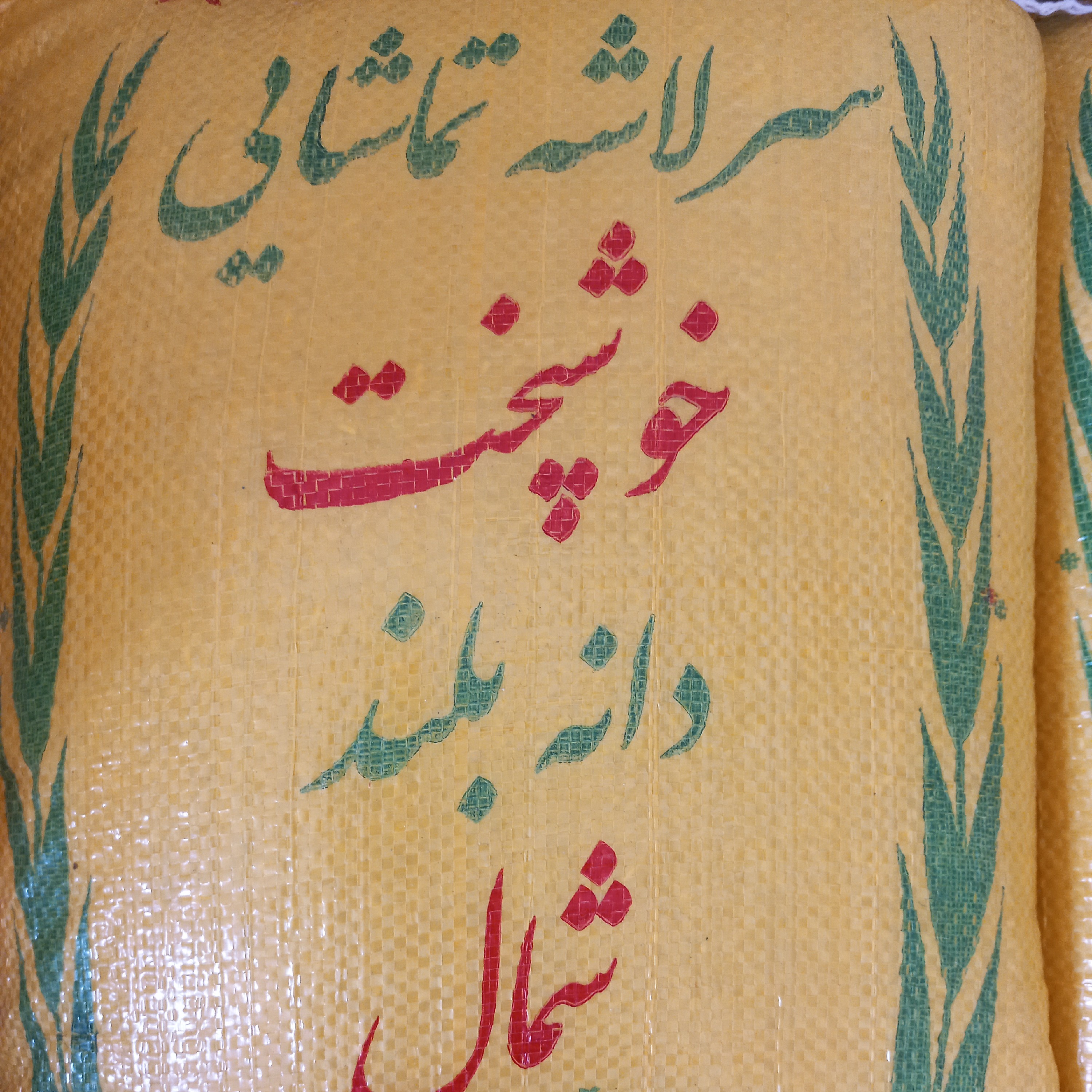 سرلاشه طارم هاشمی