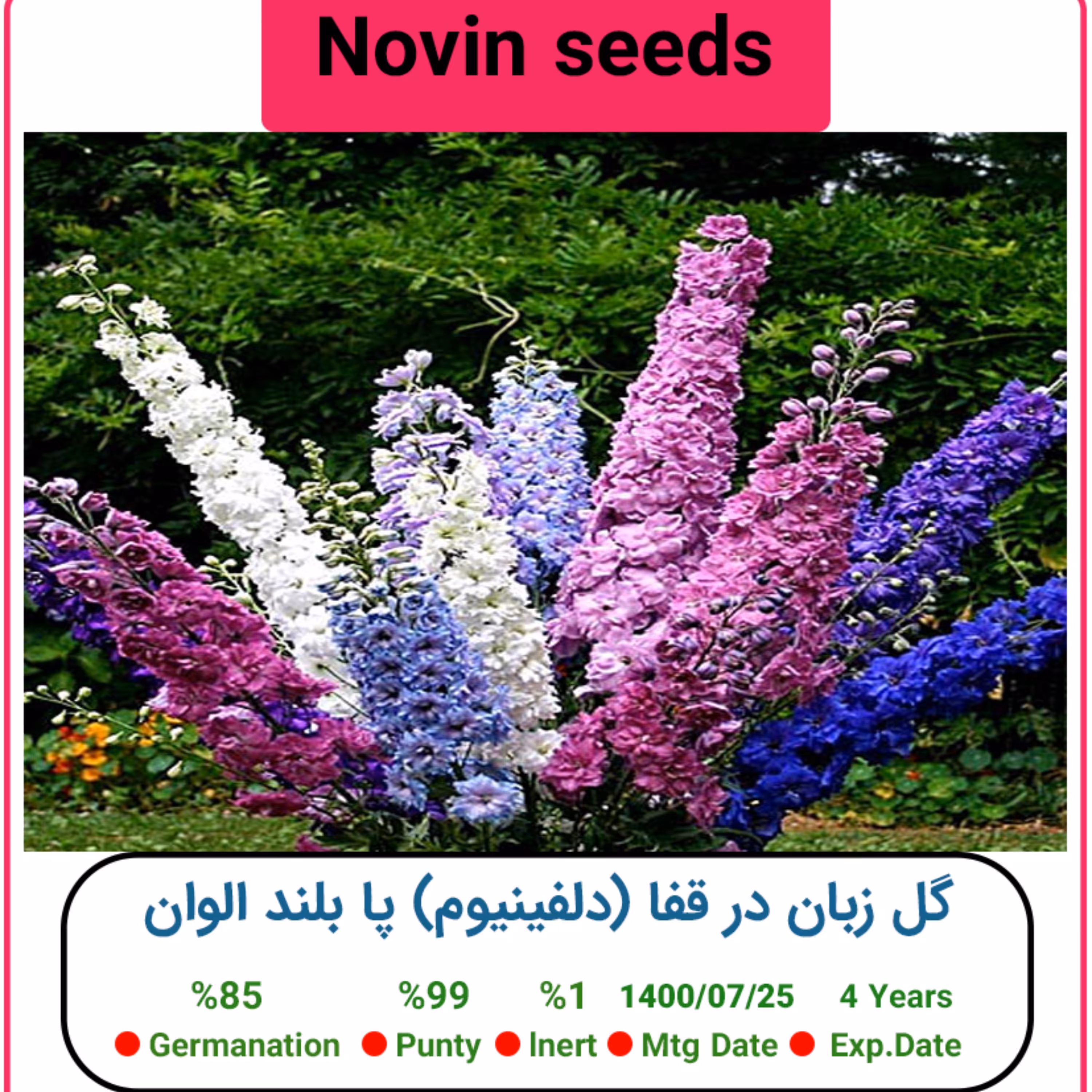 بذر گل زبان در قفا (دلفینیوم) پا بلند الوان
