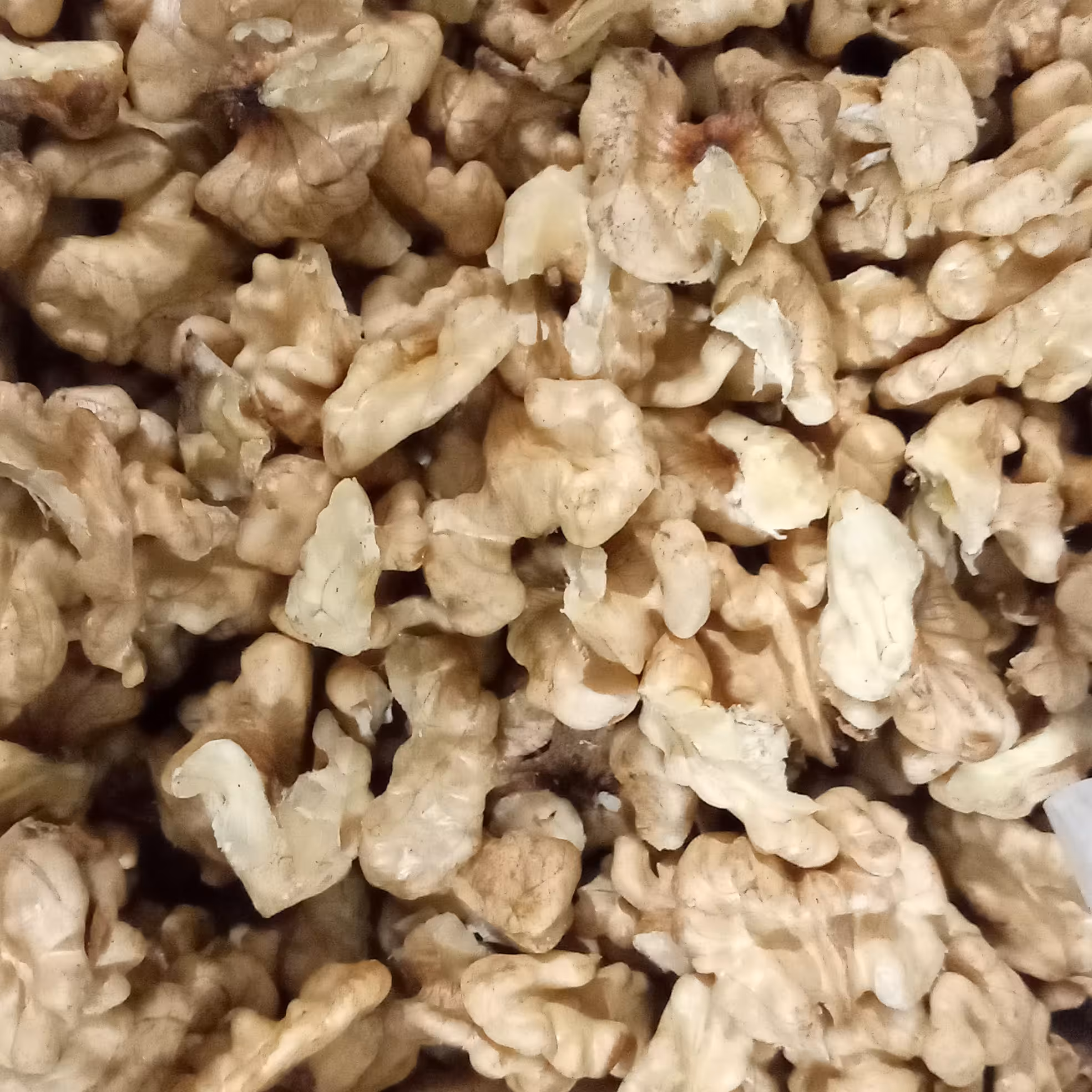 مغز گردو سفید درجه یک 450گرمی