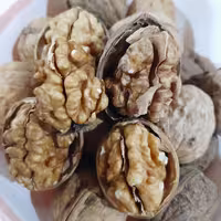 گردو پوست کاغذی درشت درجه1 امسالی(1کیلویی)