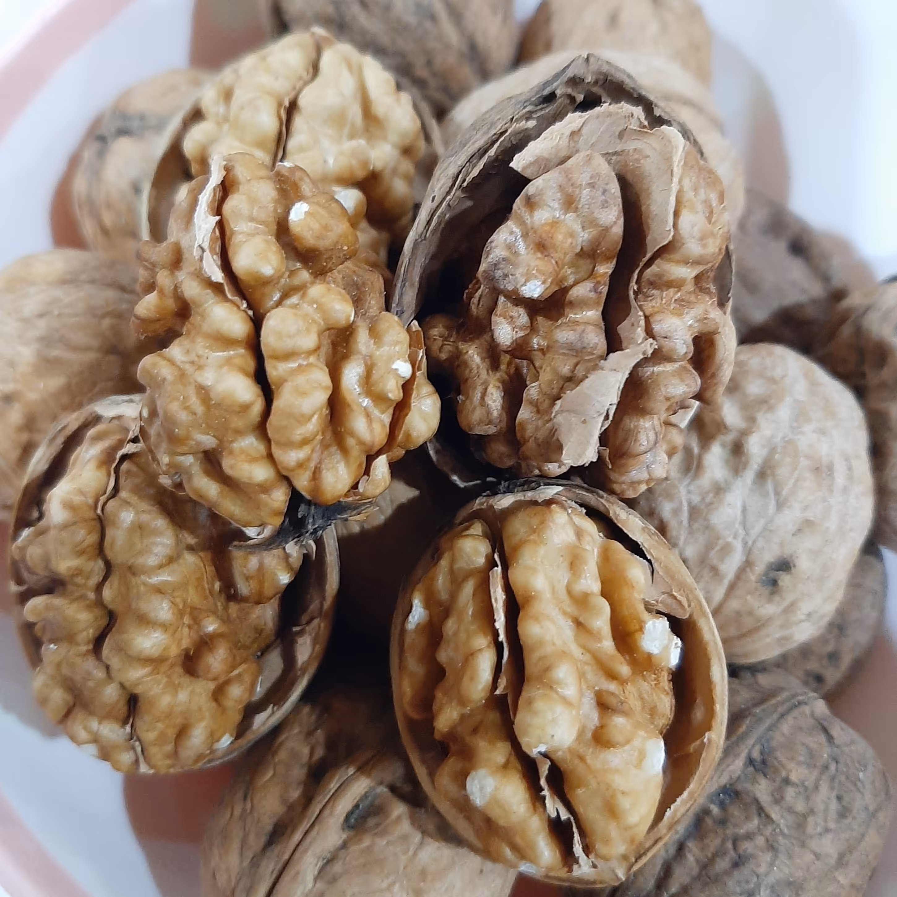 گردو پوست کاغذی درشت درجه1 امسالی(1کیلویی)