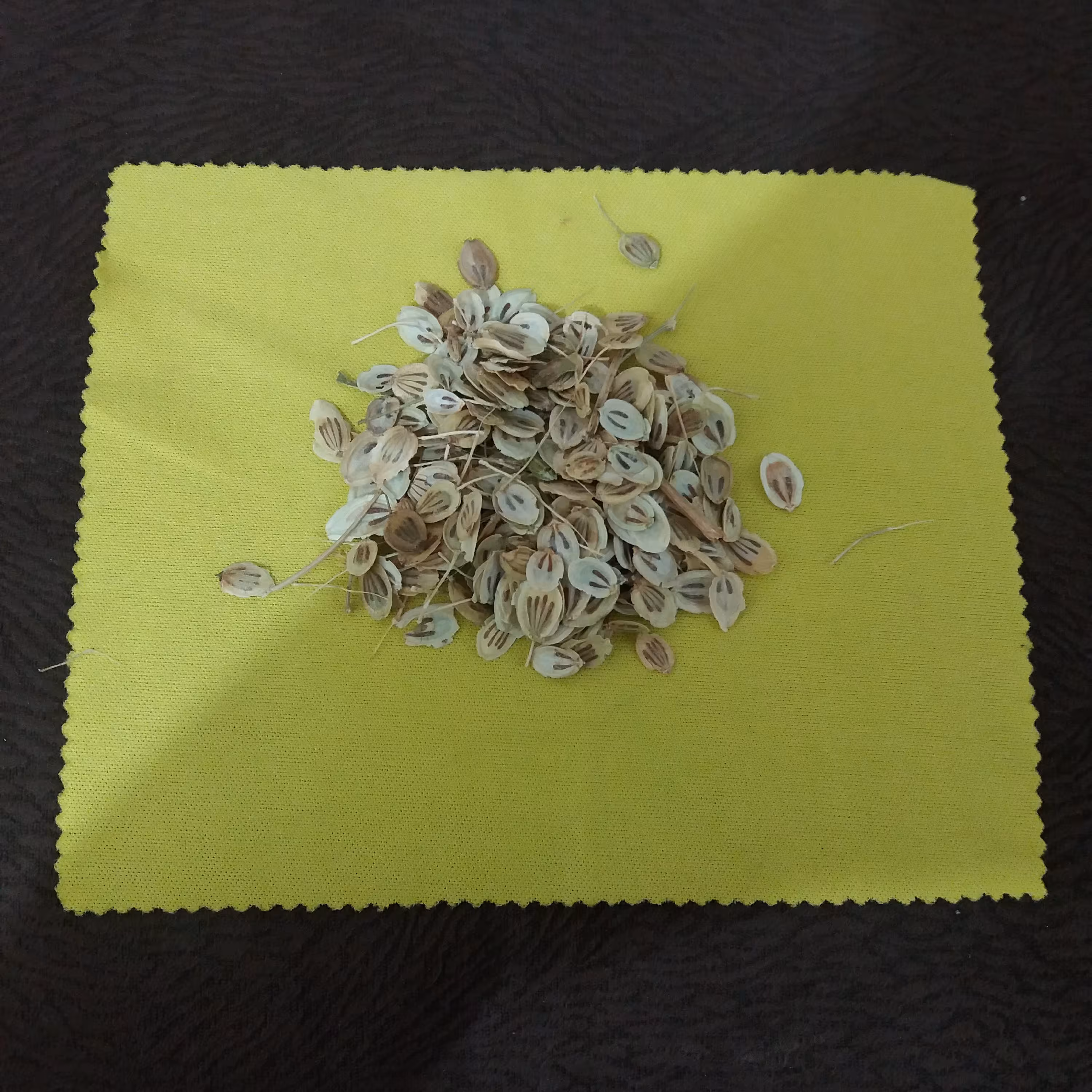 گلپر کوهی 100گرمی