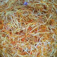 ریشه زعفران یک مثقالی زعفرانیه