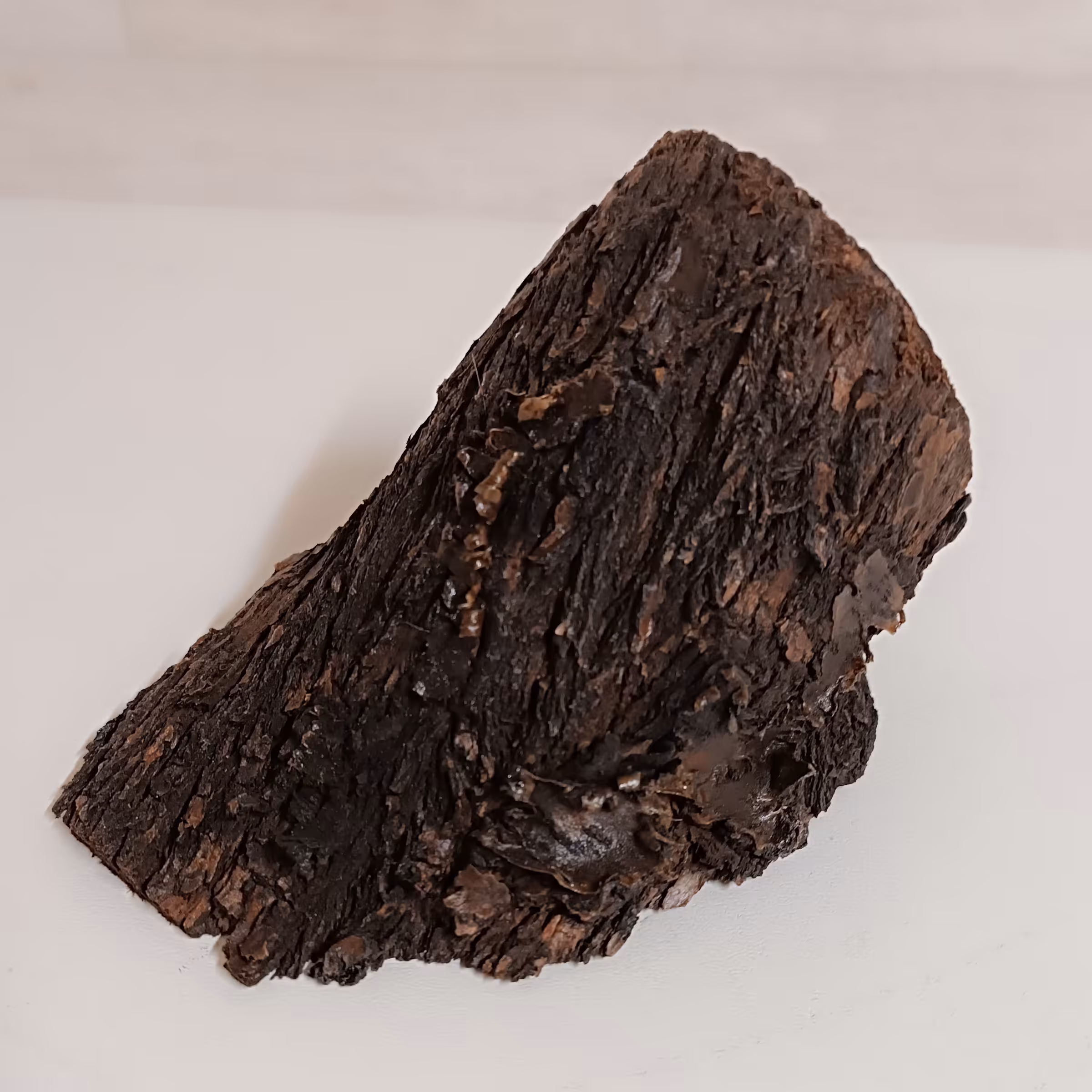 انواع چوب کنده درخت رنگ شده و روغن خورده مناسب برای پایه کارهای هنری