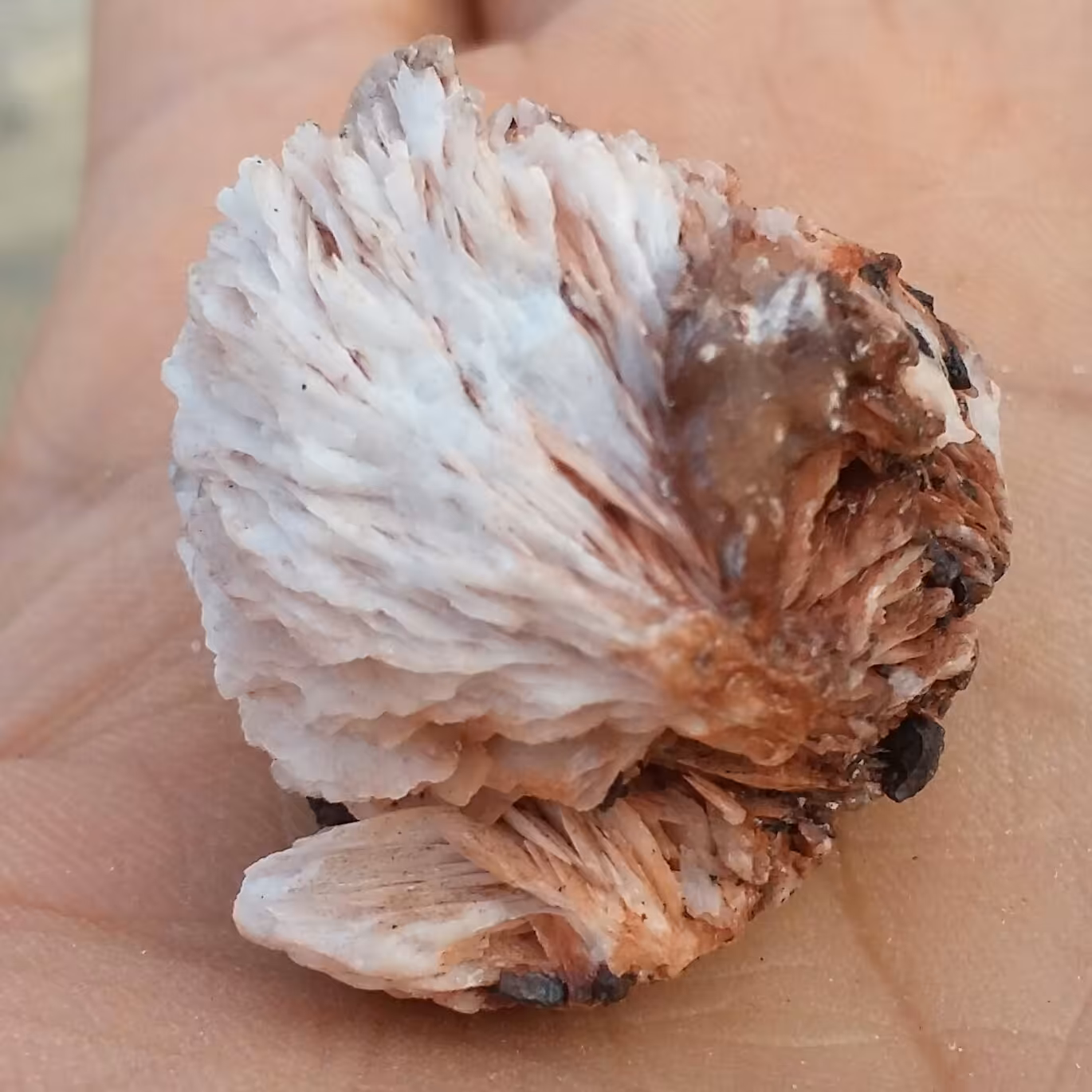 نمونه فوق کلکسیونی باریت بسیااااااااار زیبا 100 در 100 طبیعی شاهکار خلقت بی نظیر محشر و تک خارق العاده تصویر از چند طرف
