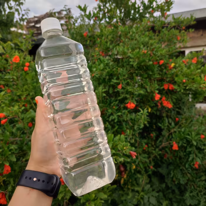 عرق بابا آدم