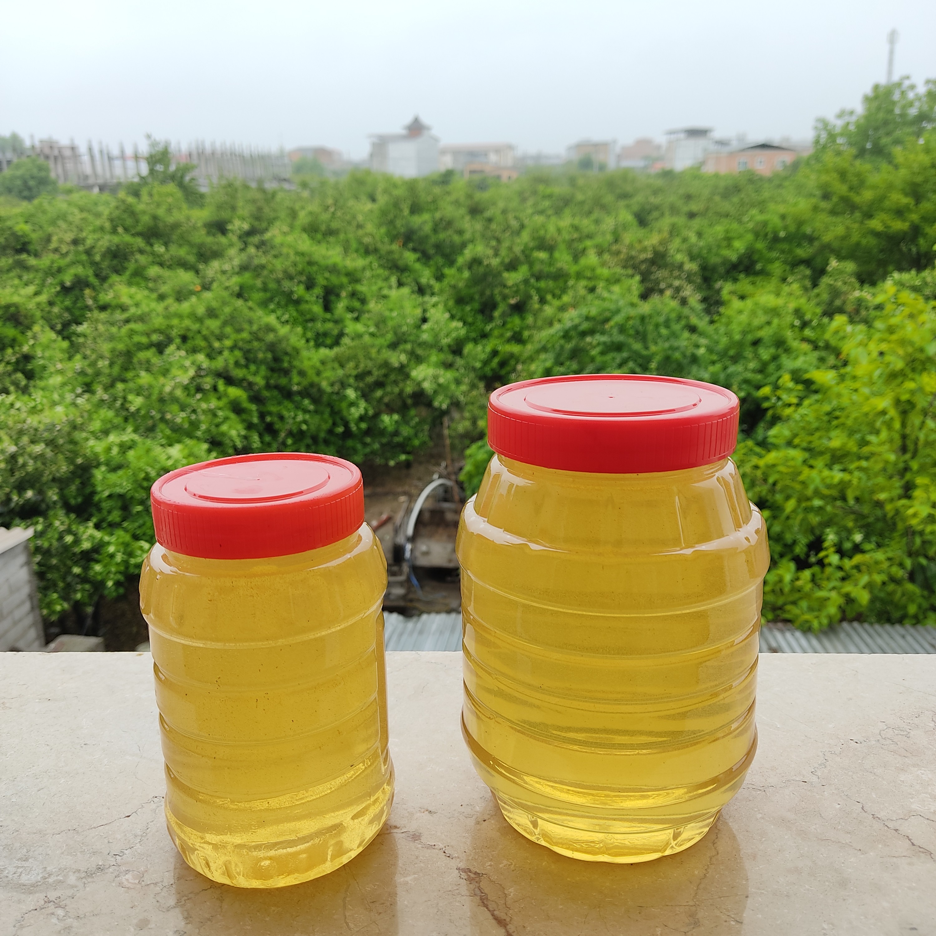 عسل بهارنارنج مازندران