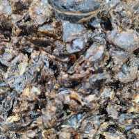  100 گرم لیمو امانی پر