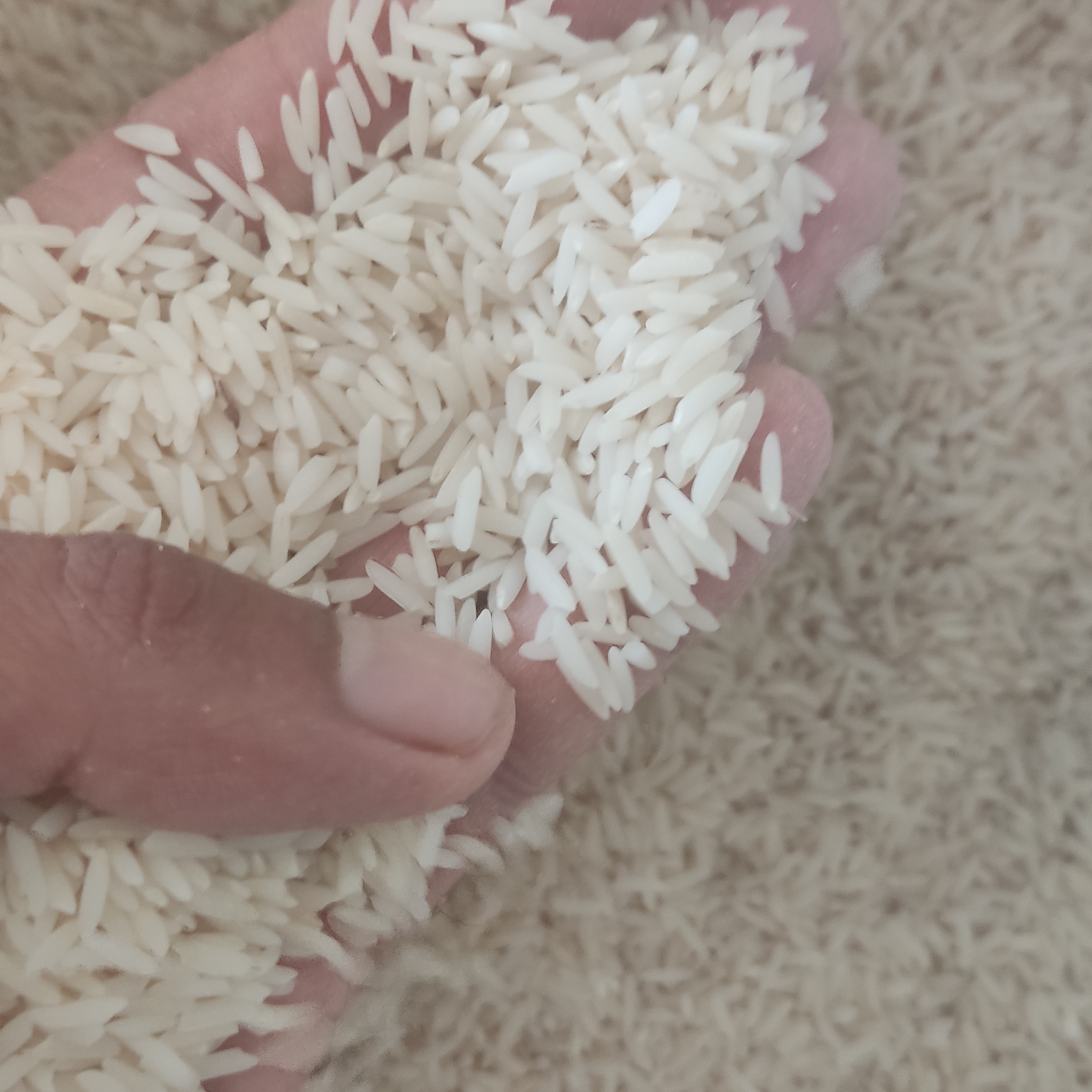برنج هاشمی در بسته بندی 4کیلویی