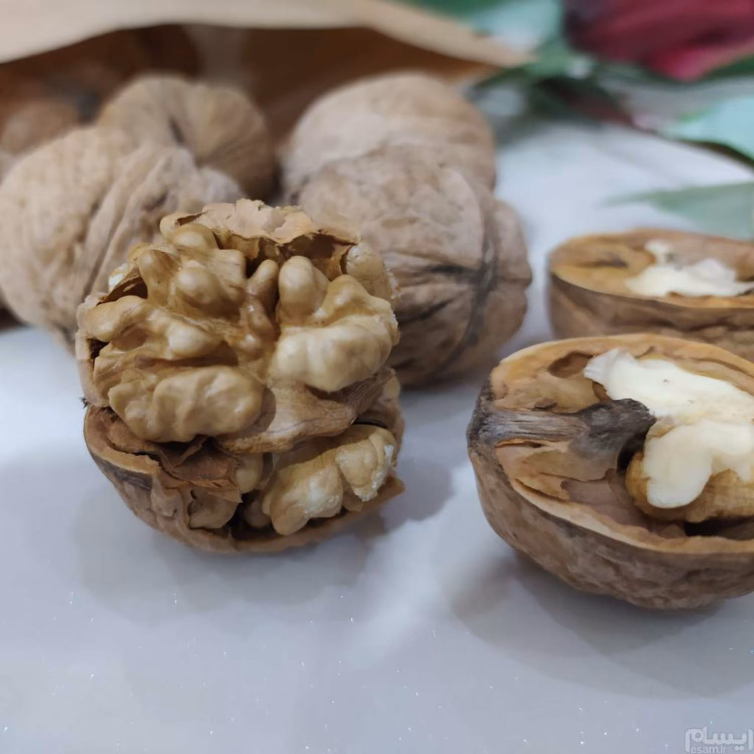 گردو پوست کاغذی 1403مراغه 500 گرم - تضمین کیفیت