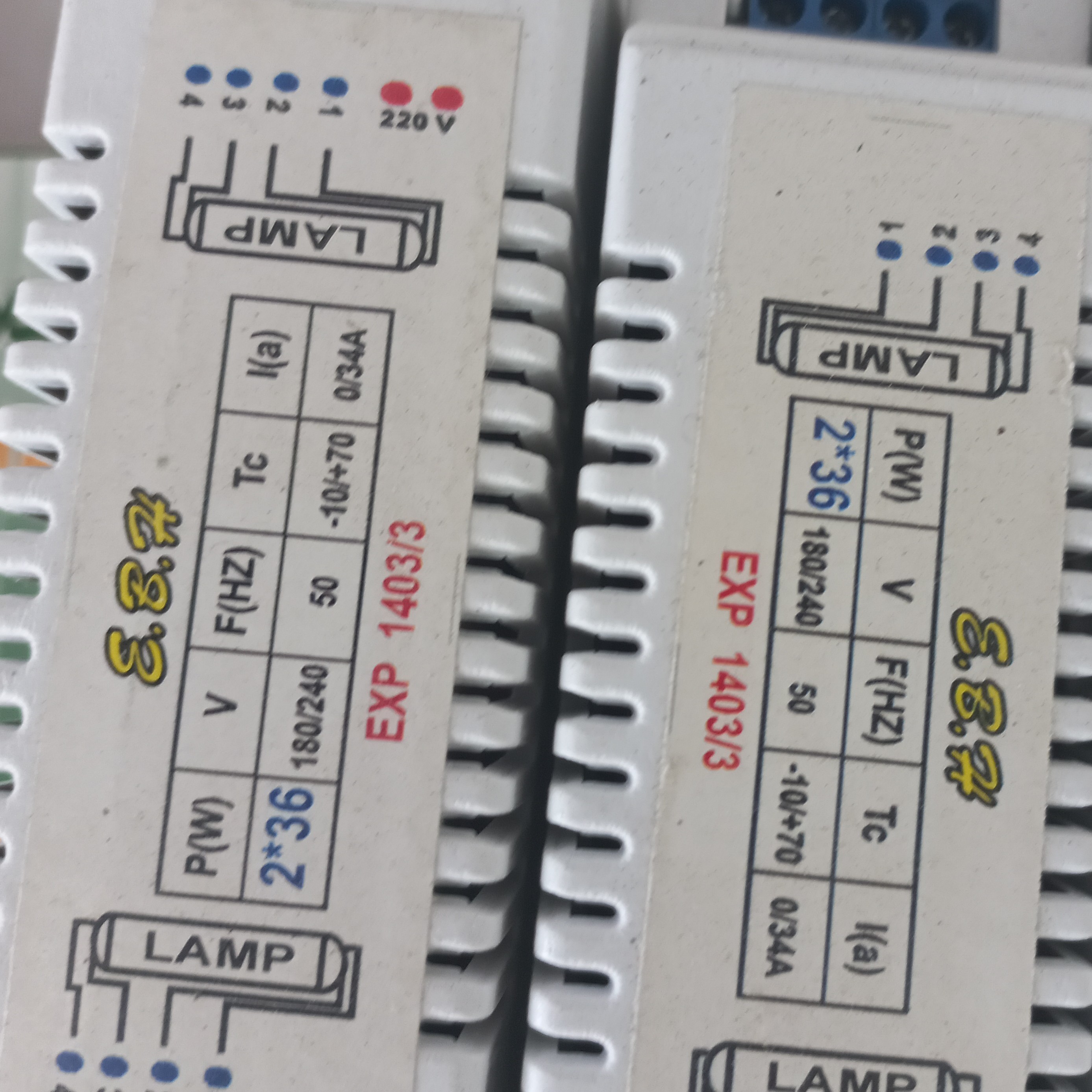 ترانس اف پی ال 