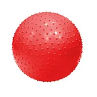 توپ پیلاتس آجدار تایتان فیتنس Titan Fitness 5055
