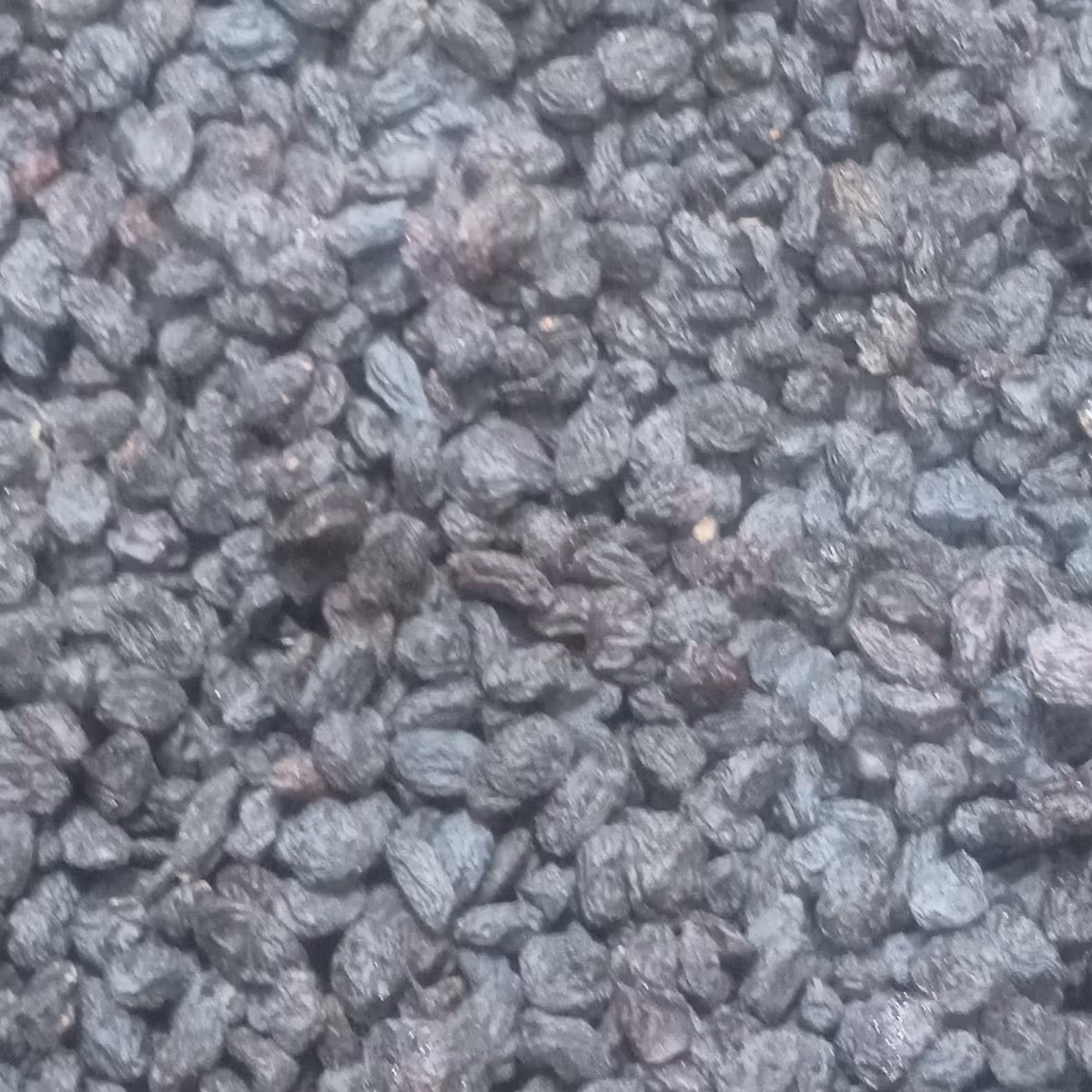 کشمش مویزافغان درجه1افغانستان 