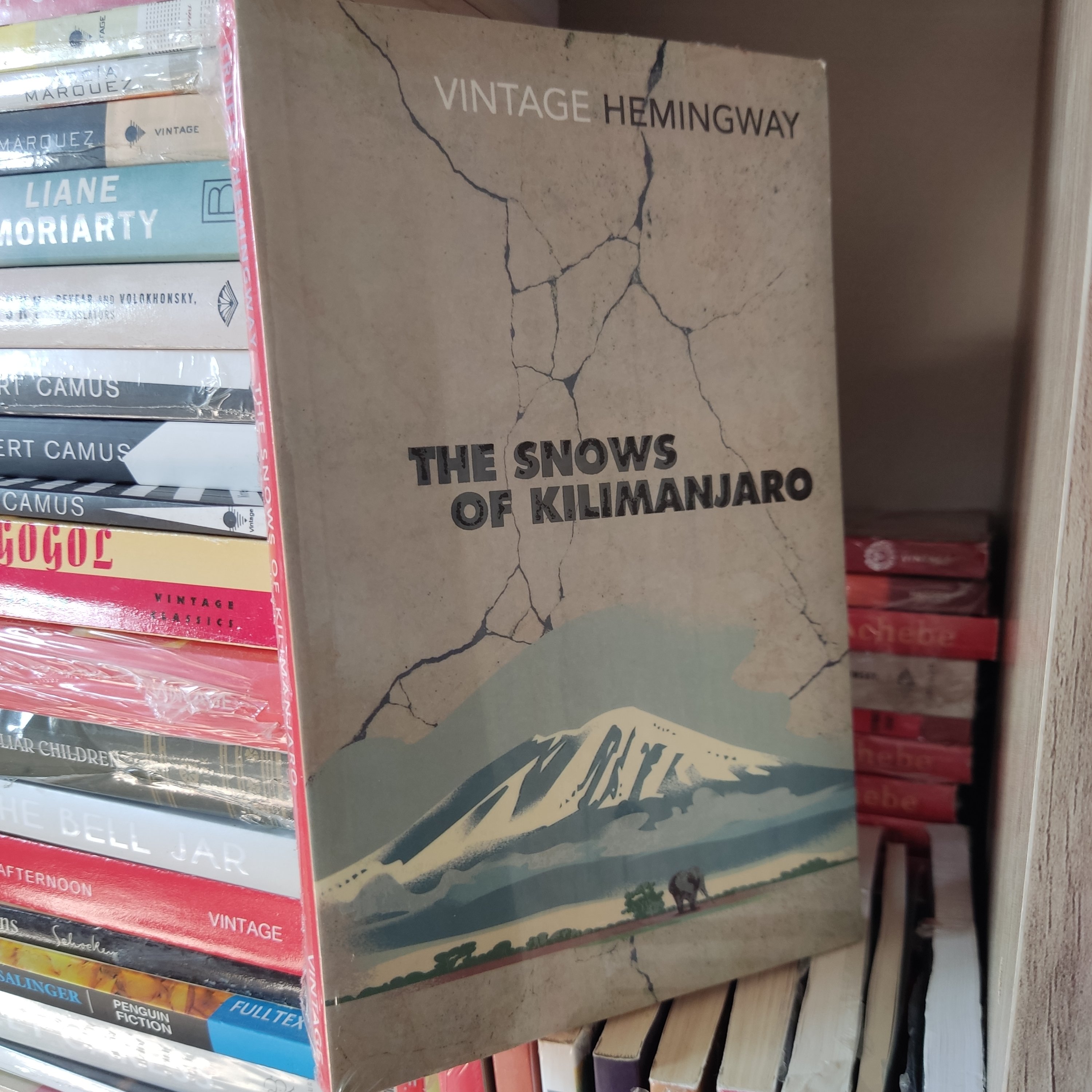کتاب زبان اصلی The Snows of Kilimanjaro (برف های کلیمانجارو) - اثر ارنست همینگوی