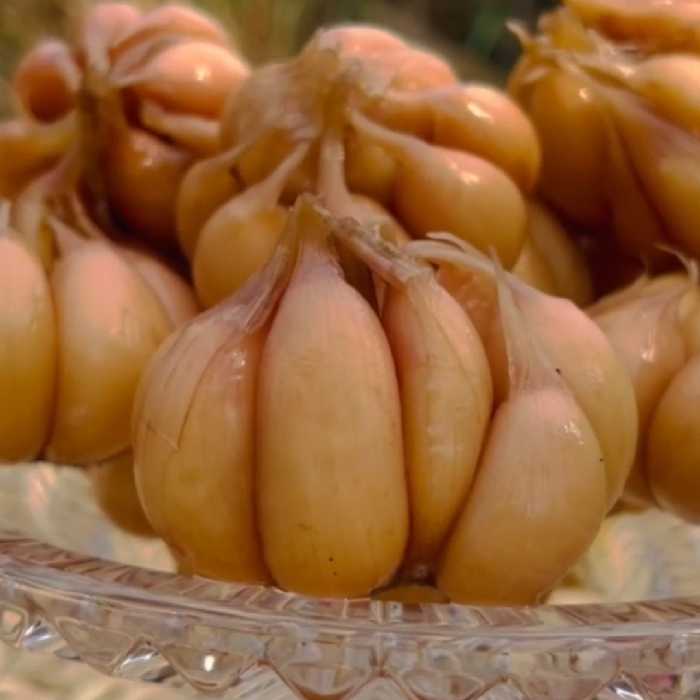 ترشی سیرخانگی  .سیر سرکه خوشمزه مازندران500 گرم