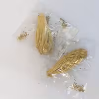 خلال دندان خانه احسان کاشمر