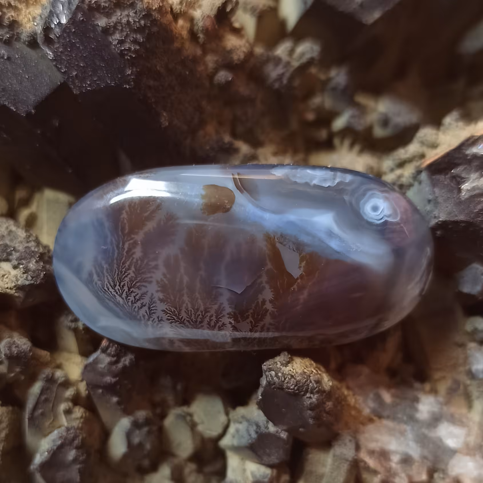 نگین عقیق شجر قائن پر بوته قهوه ای سوزنی SH15