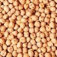 نخود درشت 5ستاره فدک  (فروش ویژه)