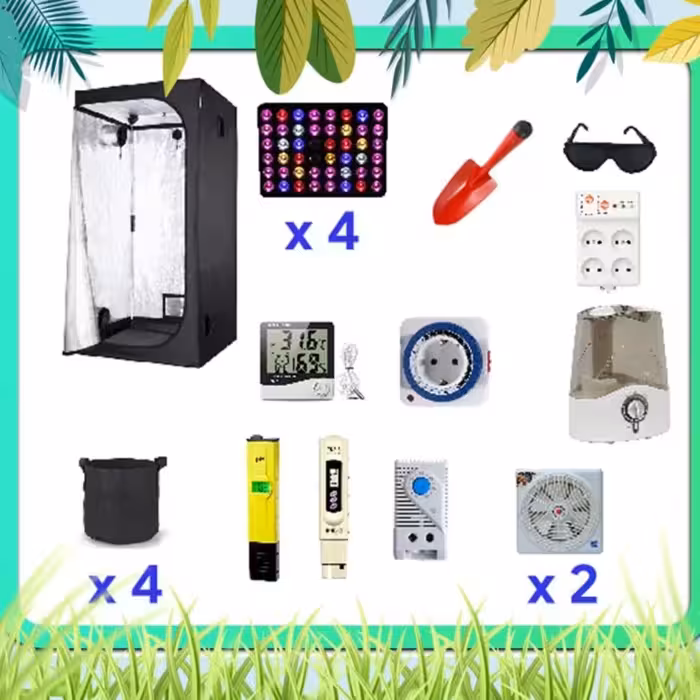 پکیج کامل کاشت تا برداشت 4 گلدان