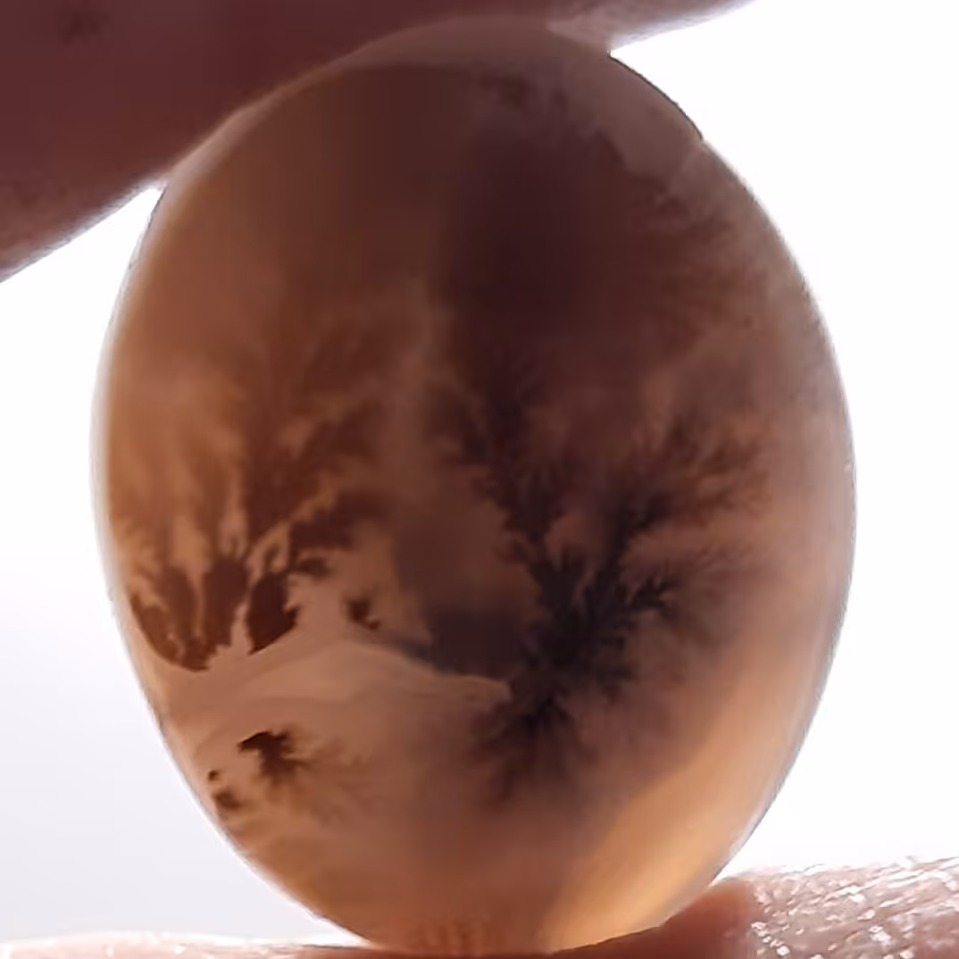 عقیق شجر پر انرژی 