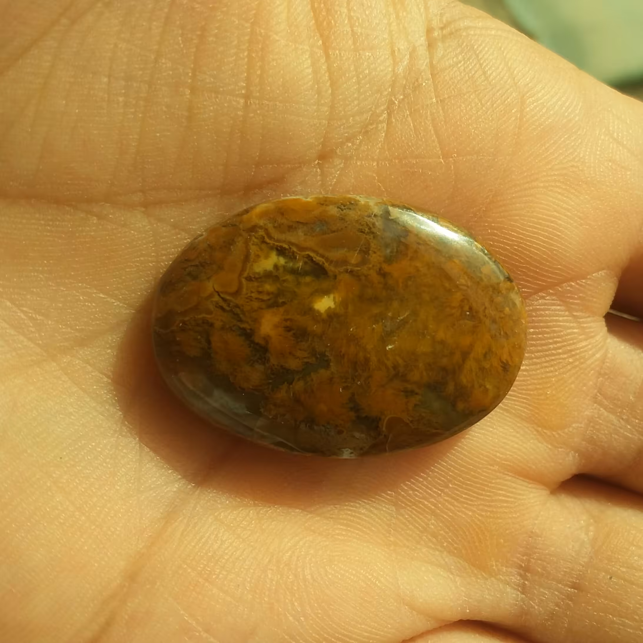 نگین شجر پاییزه پولیش آیینه ای بسیار خوش رنگ و زیبا و خوش تراش نگینی خاص  تکرار نشدنی