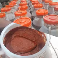 رب گوجه فرنگی دبه ای بدون مواد نگهدارنده