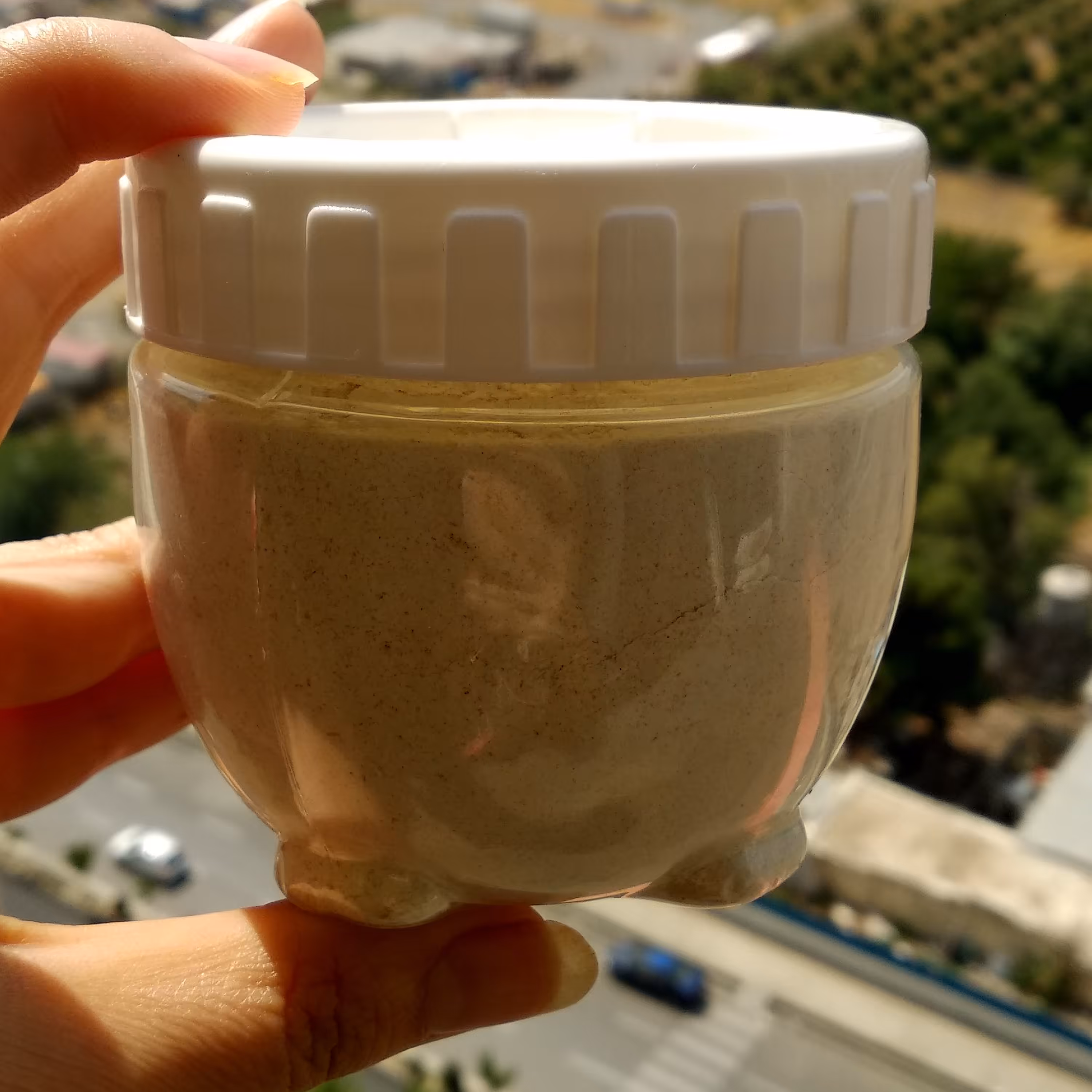 پودر سیر خانگی همدان (کاملا خالص)شیشه 140 گرمی