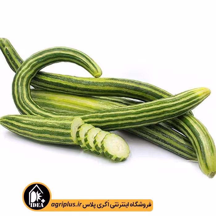 بذر خیار چنبر بسته بندی خانگی