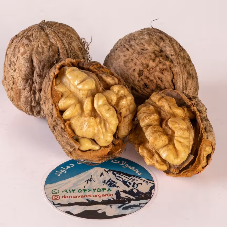 گردو با پوست ارگانیک دماوند 