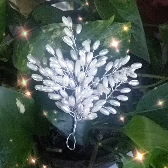 گیره درختی گندمی 