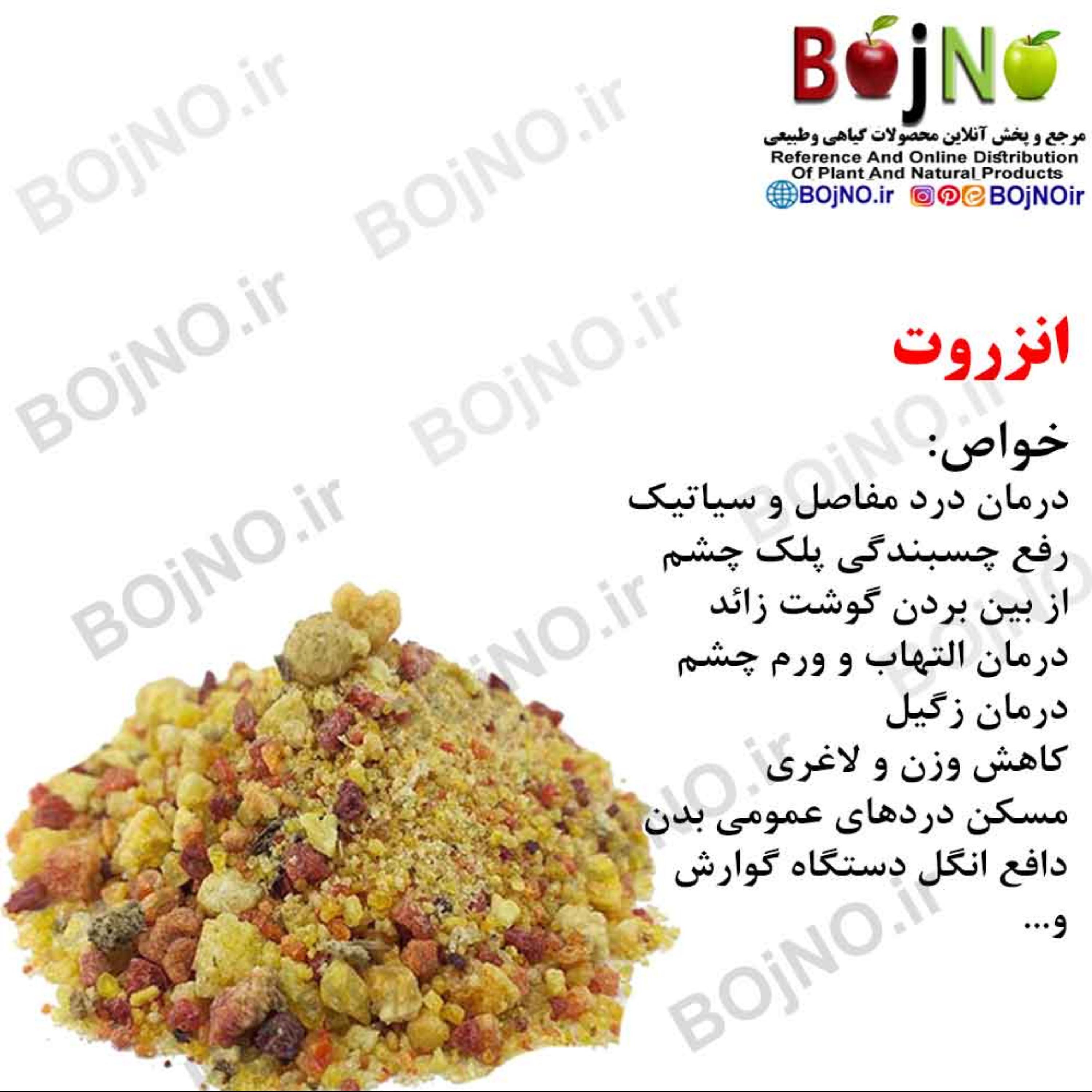 انزروت  50گرمی