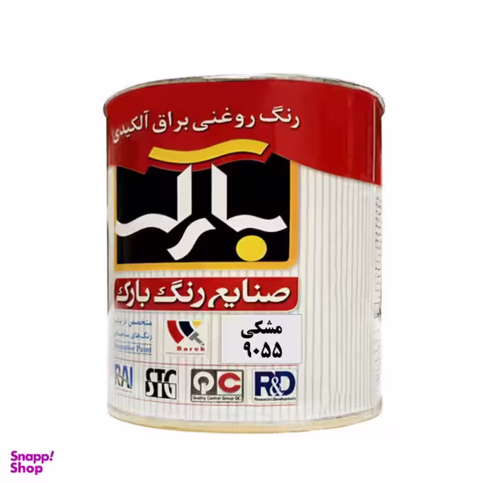 رنگ روغنی براق آلکیدی مشکی بارک مدل 9005 B R وزن 250 گرم