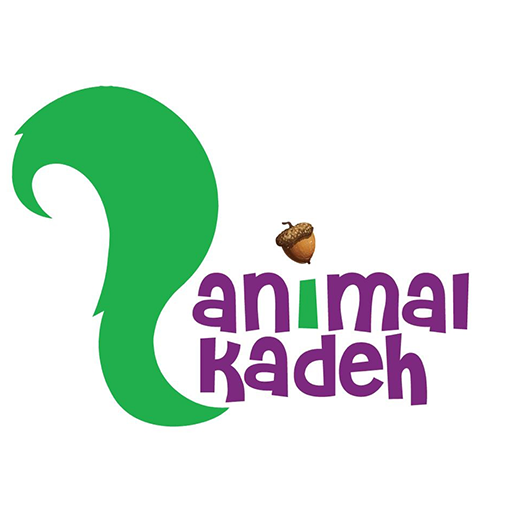 انیمال‌کده