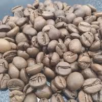 قهوه چری (روبوستا )ارسال رایگان