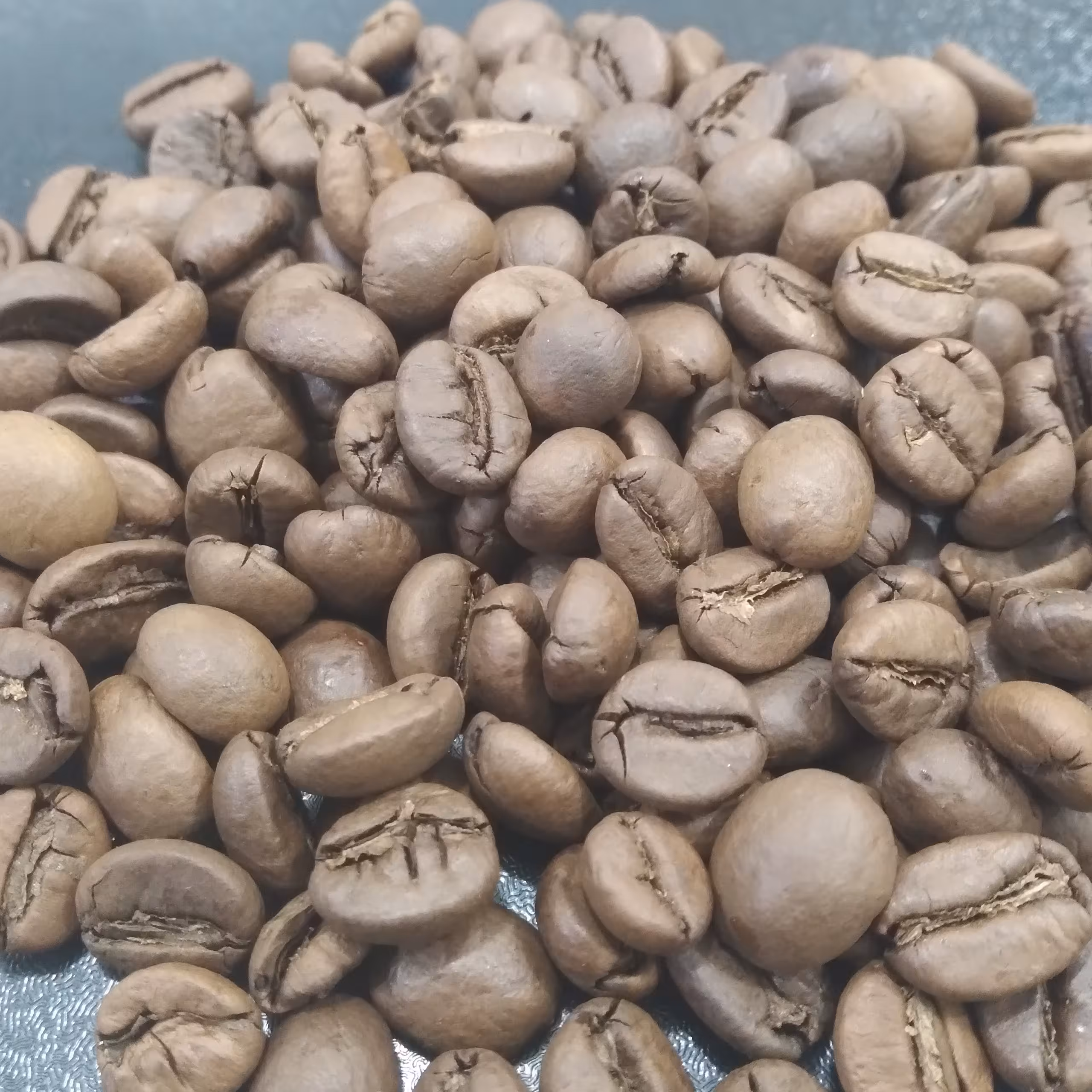 قهوه چری (روبوستا )ارسال رایگان