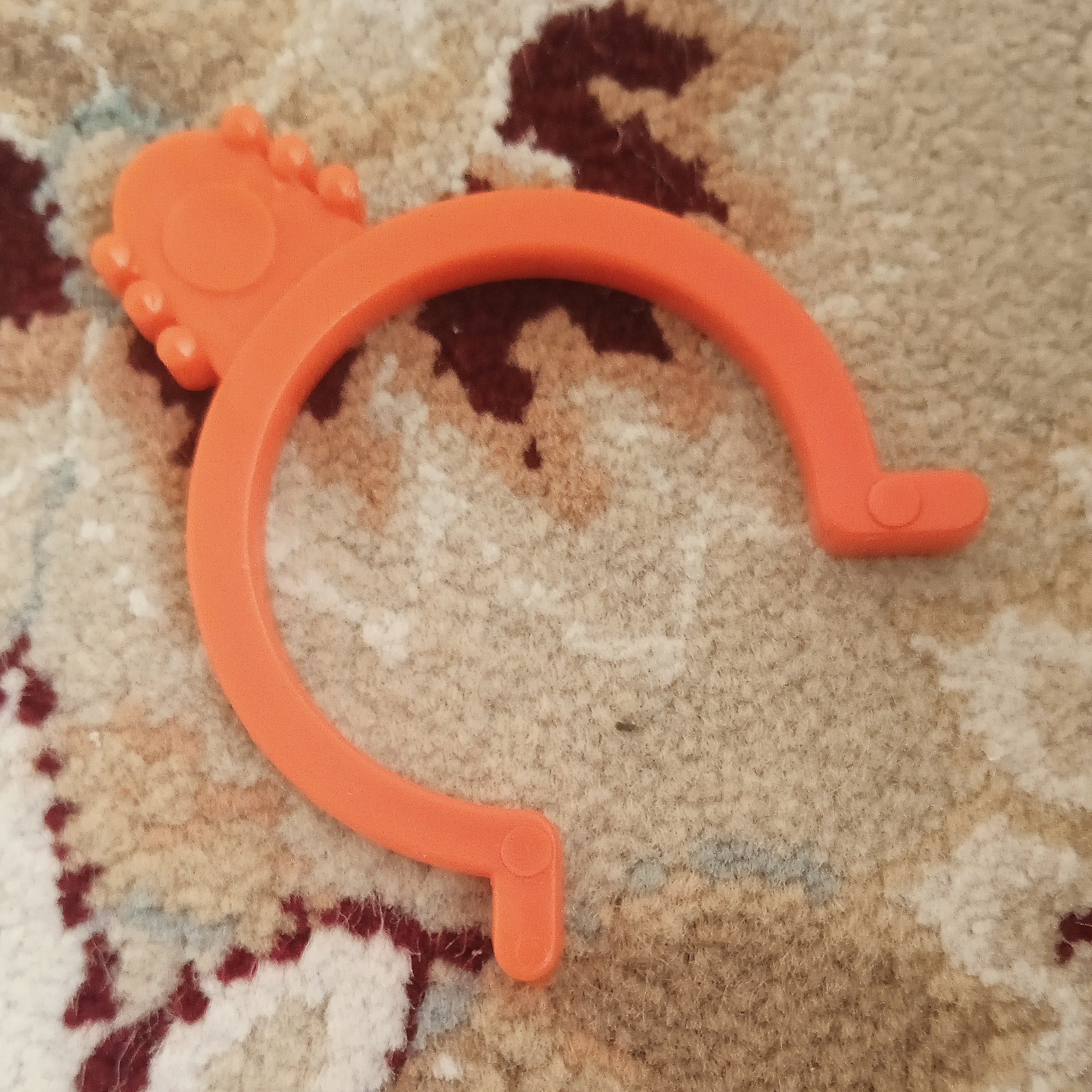 جا ابی پرنده انواع رنگ
